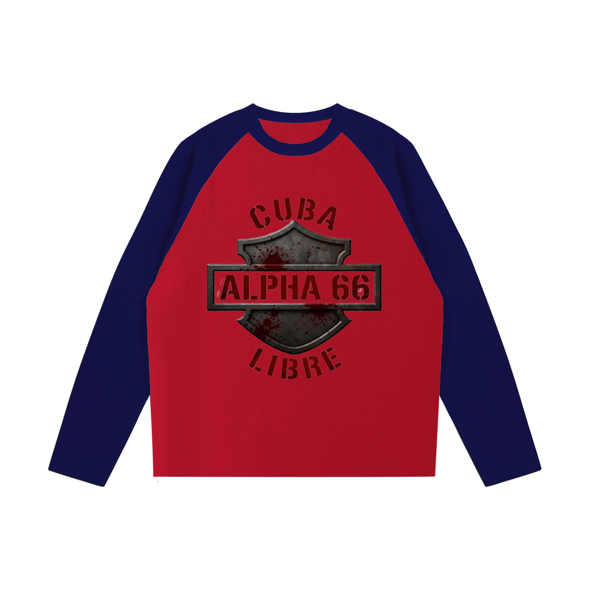 Color-Blocked Raglan Long-Sleeve T-Shirt