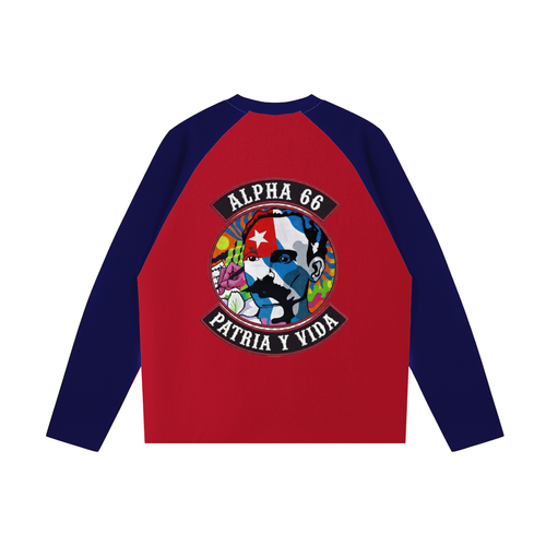 Color-Blocked Raglan Long-Sleeve T-Shirt