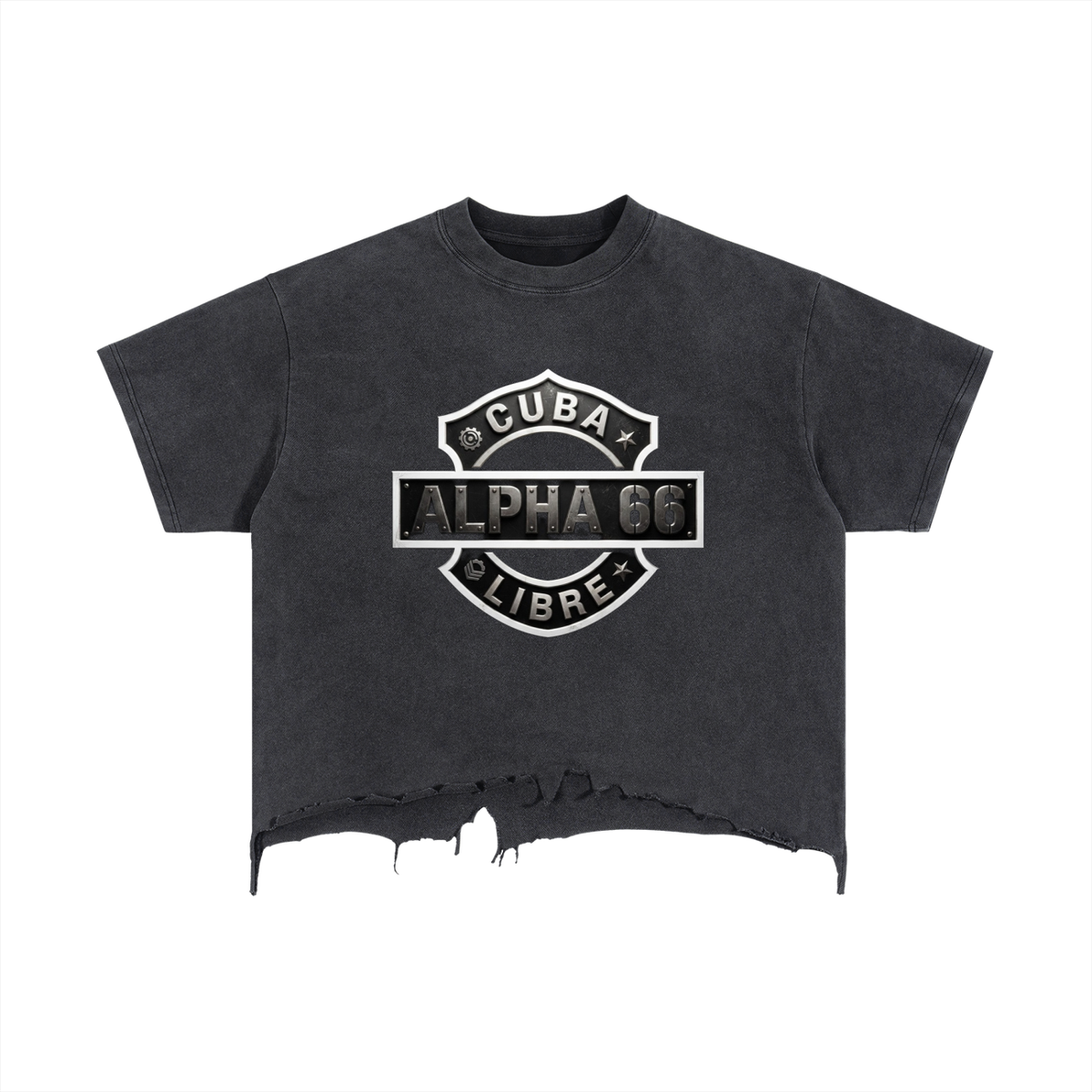 Vintage Wash Boxy Distressed Hem T-Shirt